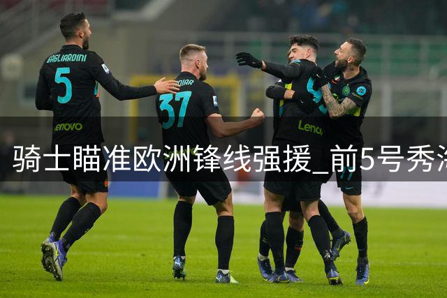 骑士瞄准欧洲锋线强援 前5号秀海佐尼亚或重返NBA